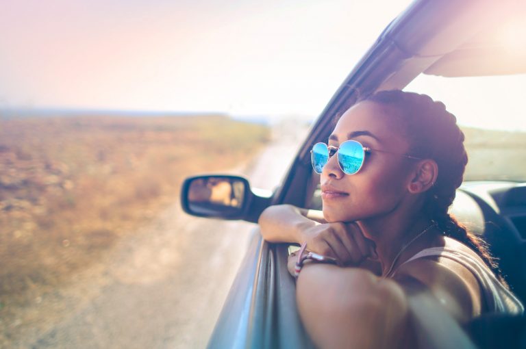 Comment mettre un pare-soleil sur le pare-brise de sa voiture ? Blog  Mister-Auto